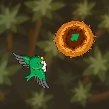 FreezeNova Draw The Bird Path