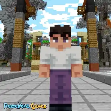 FreezeNova Pixelmon Town